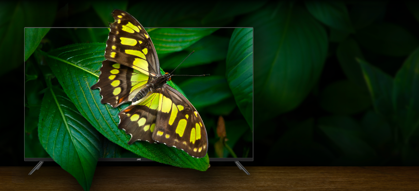 jvc frameless design